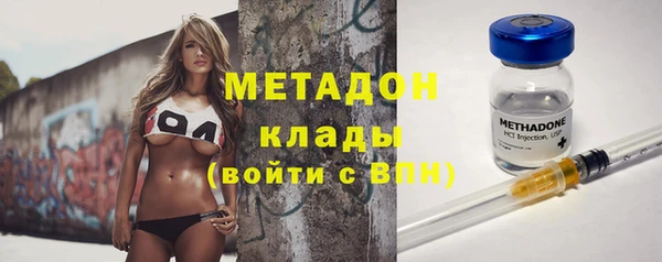 шишки Сосновка