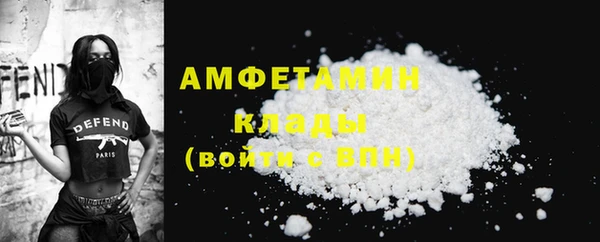 шишки Сосновка