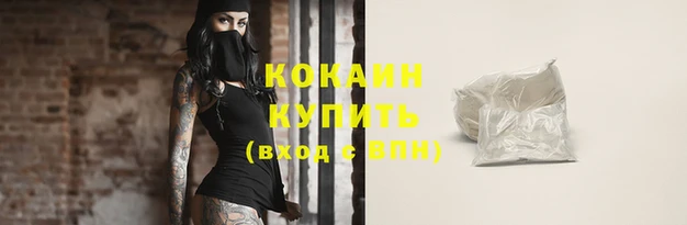 шишки Сосновка