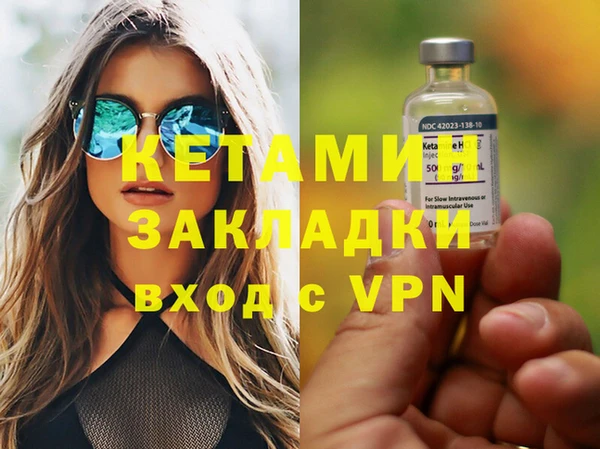 шишки Сосновка