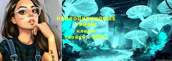 ешки Сосновый Бор