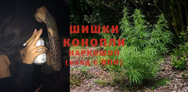 шишки Сосновка