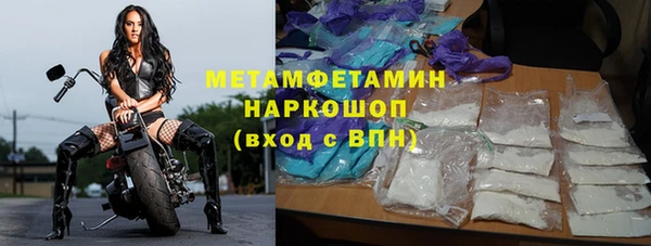шишки Сосновка