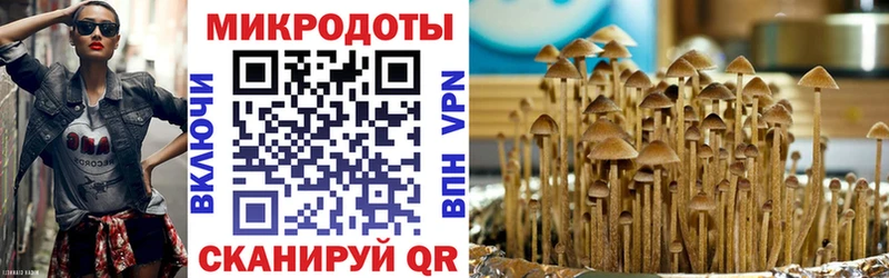 Купить закладки  Нестеров  Псилоцибиновые грибы мицелий 